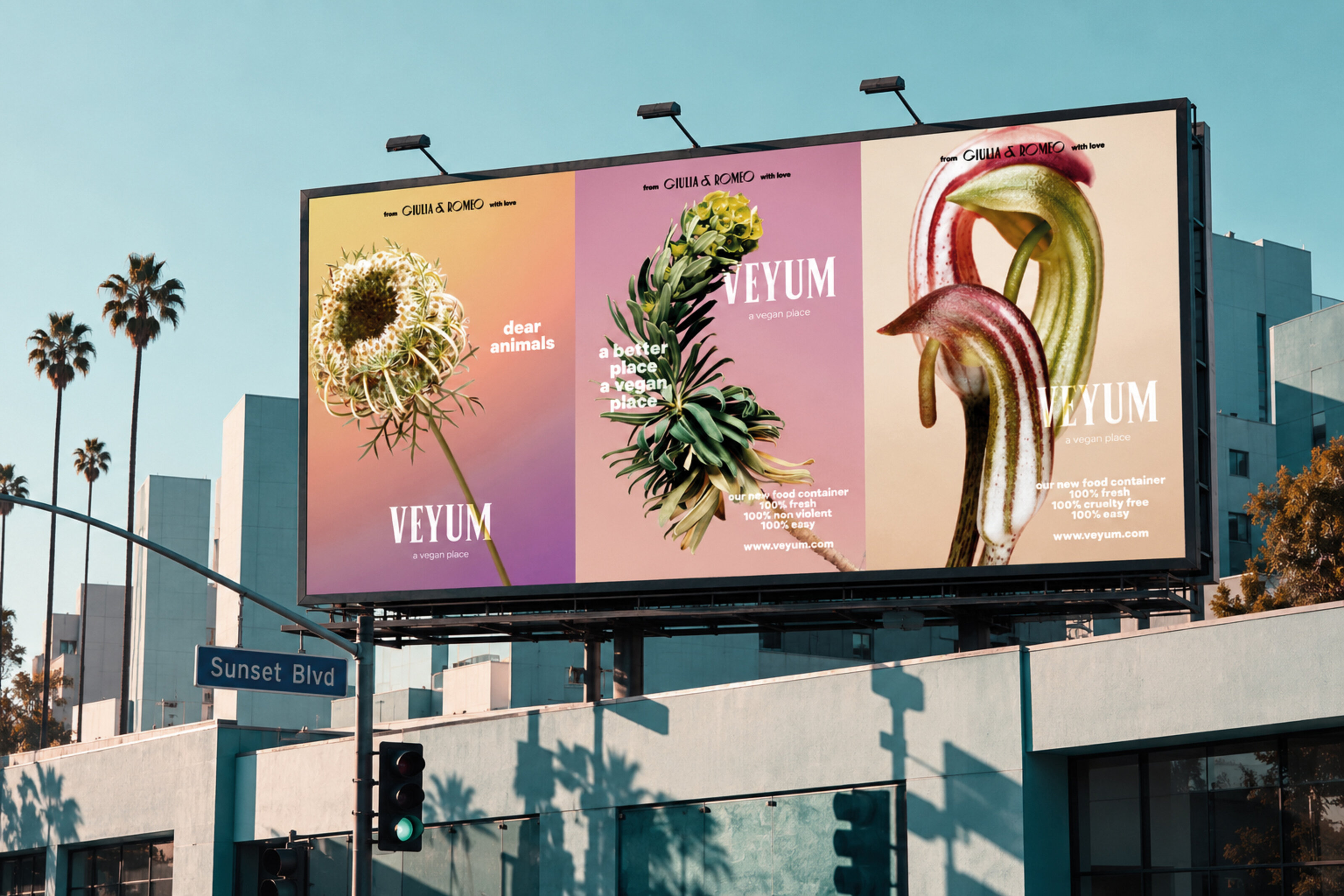 AMEN_Veyum_Plakate