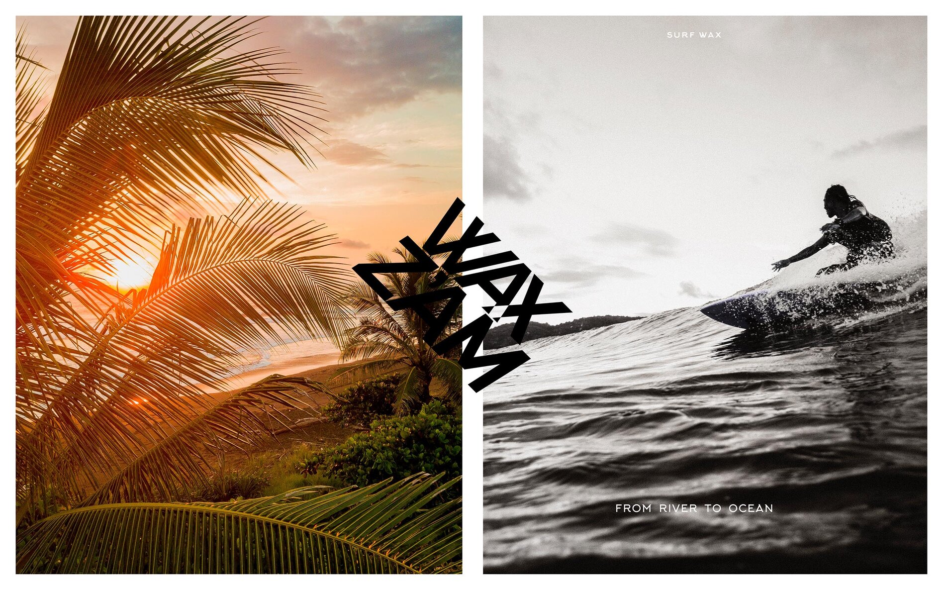 WZ_Image1