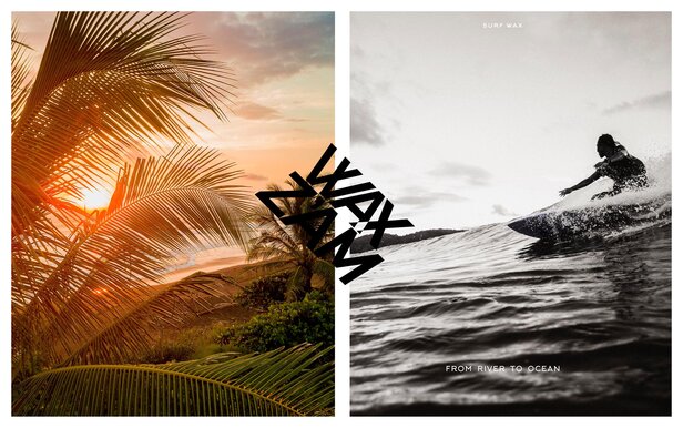 WZ_Image1